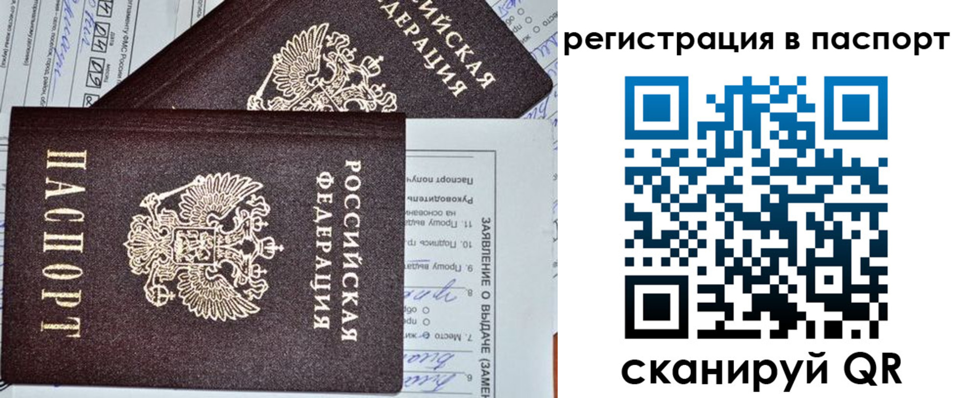 прописка законно в Волоколамске